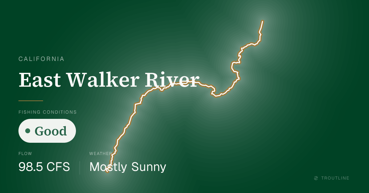East Walker River Fishing Report & Conditions — California | Troutline