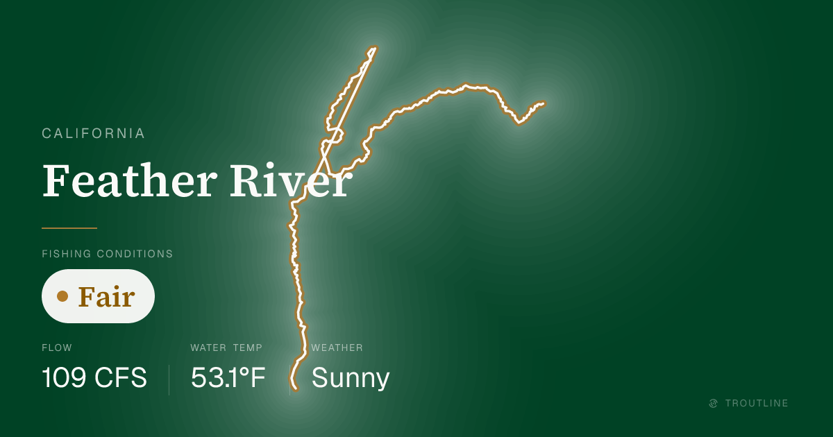 Feather River Fishing Report & Conditions, California | Troutline