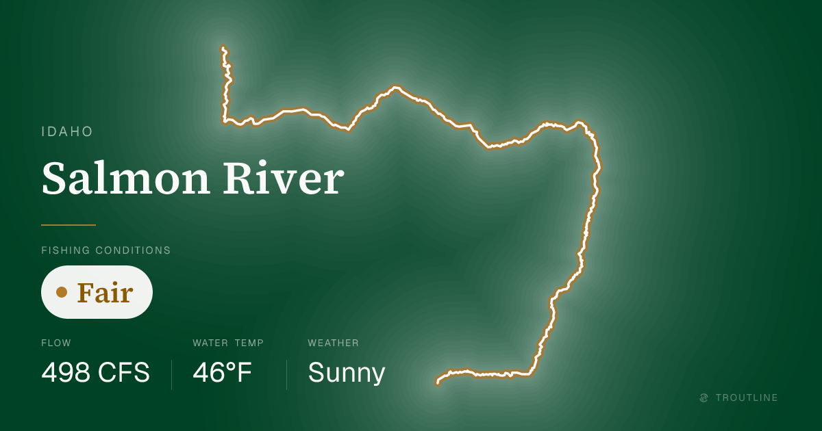 Salmon River Fishing Report & Conditions, Idaho | Troutline