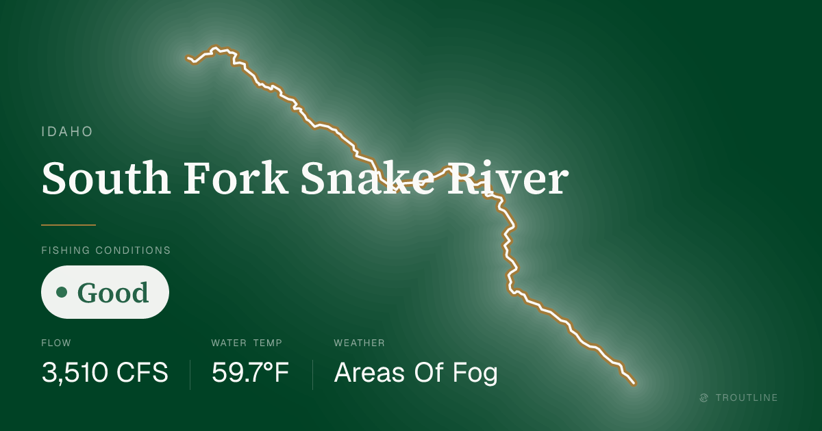 South Fork Snake River Fishing Report & Conditions, Idaho | Troutline