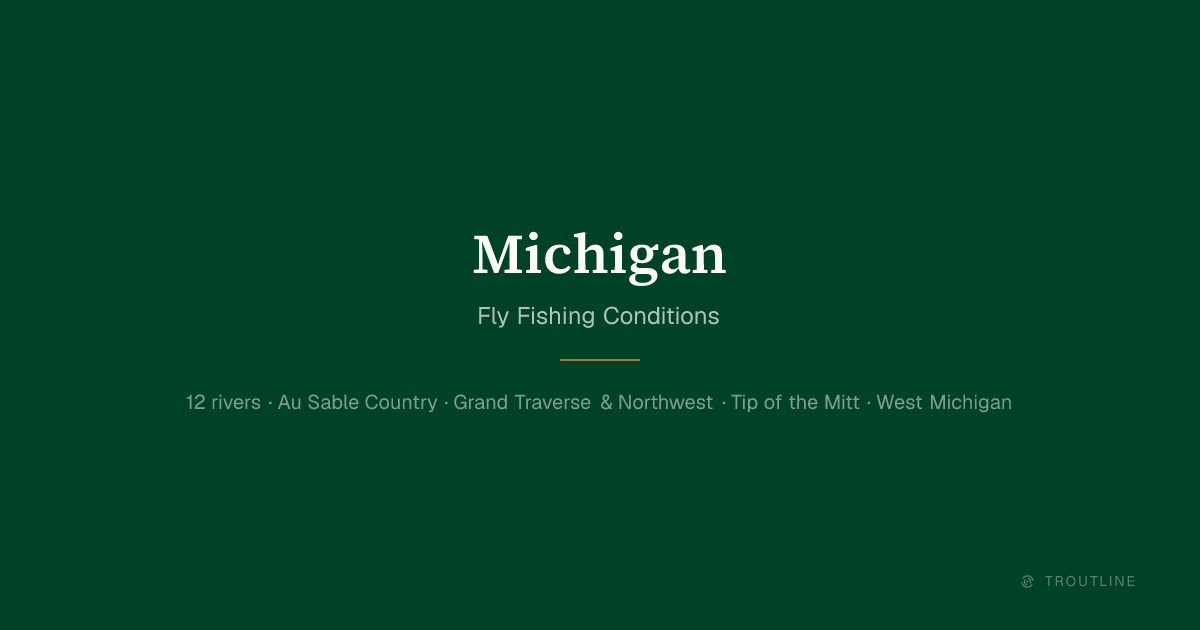 Michigan Fly Fishing Report: 12 Rivers, Live Conditions | Troutline
