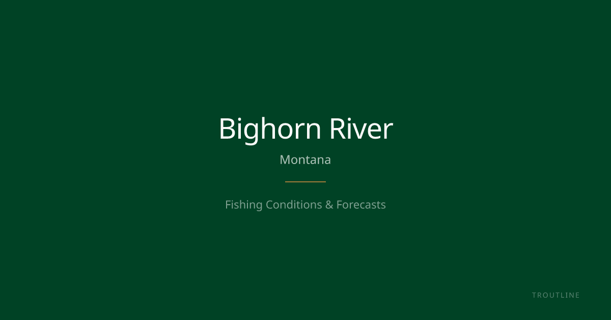 Bighorn River — MT