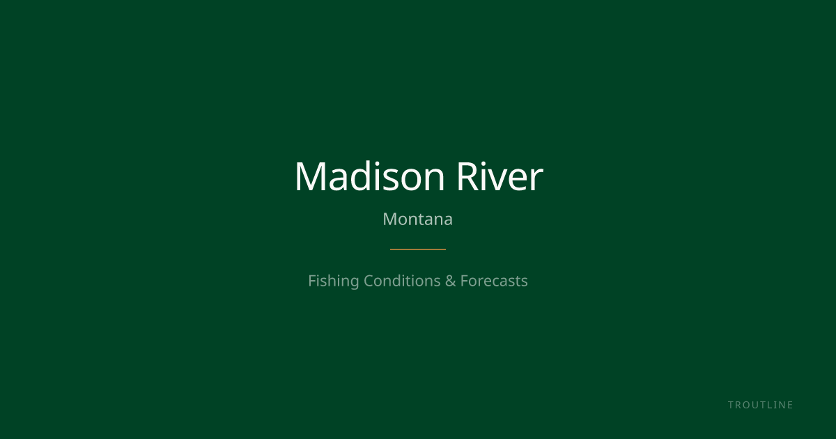 Madison River — MT