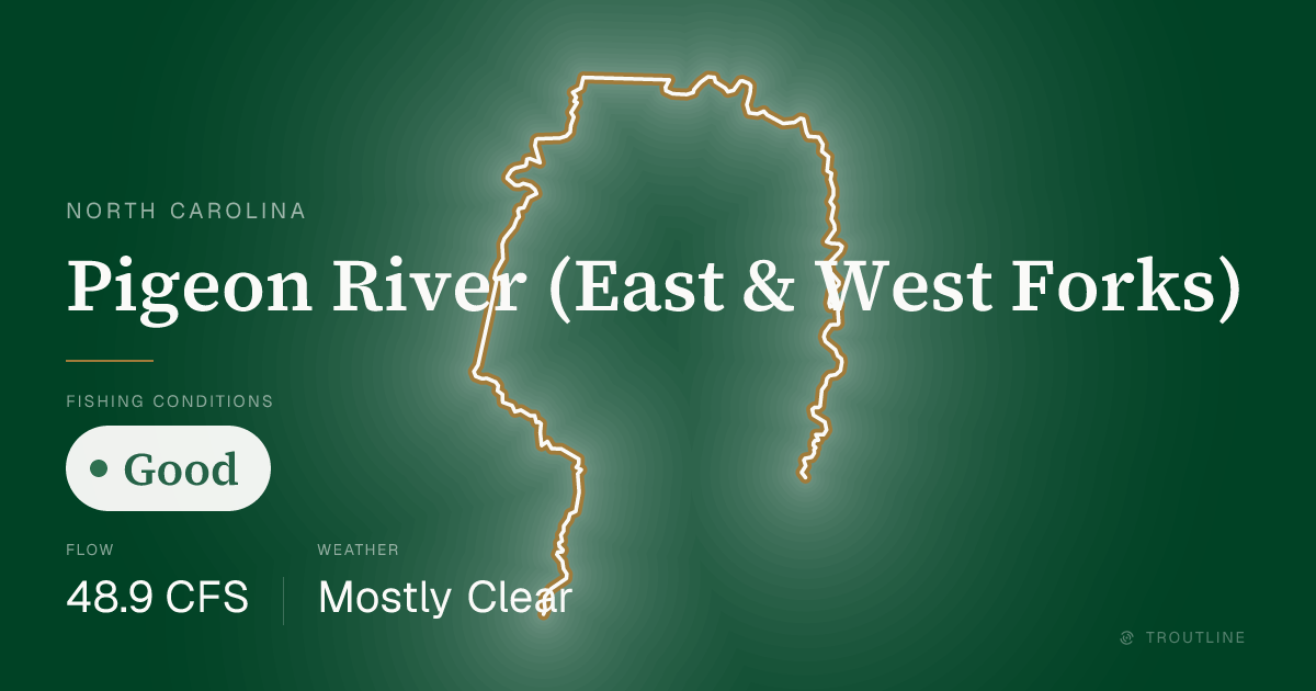Pigeon River (East & West Forks) Fishing Report & Conditions, North ...