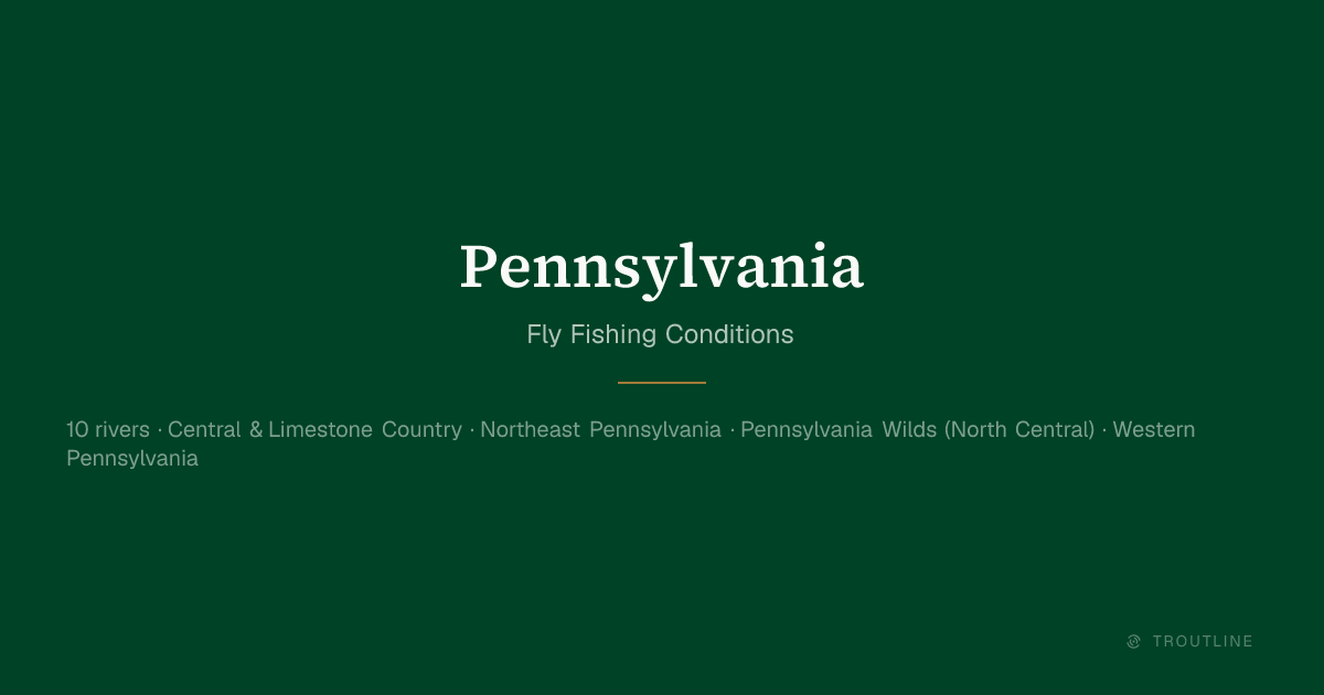 Pennsylvania Fly Fishing Report — 10 Rivers, Live Conditions | Troutline