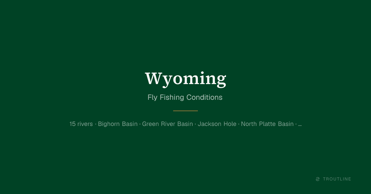 Wyoming Fly Fishing Report: 15 Rivers, Live Conditions | Troutline